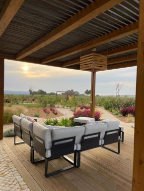 Quinta do Planalto Vicentino - Casas de Campo